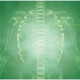 Gestion de toutes douleurs - FR | Inula