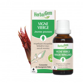VIRGINIA CREEPER - 30 ml | Inula