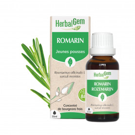 Bourgeon de Romarin - 30 ml | Inula