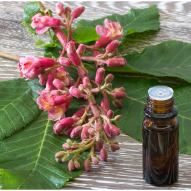 Fleurs de Bach - niveau 1 - FR | Inula