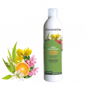 Spray assainissant Orange douce Ravintsara - 400 ml | Inula