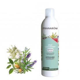 Spray assainissant Ravintsara - Tea tree - 400 ml | Inula