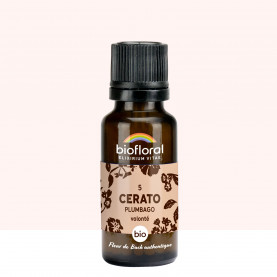 05 Cerato, Plumbago - 19,5 gr | Inula