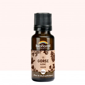 13 Gorse, Ajonc \n - 19,5 gr | Inula