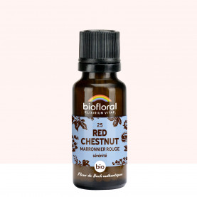 25 Red Chestnut, Marronnier Rouge - 19,5 gr | Inula