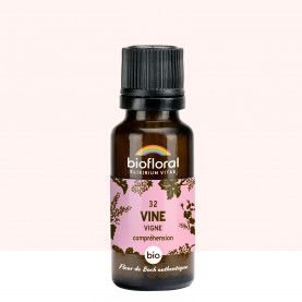 32 Vine, Vigne - 19,5 gr | Inula