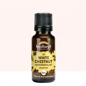 35 White Chestnut, Marronnier Blanc - 19,5 gr | Inula