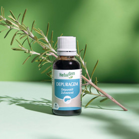 DepuraGem - complexe dépuratif - 30 ml | Inula