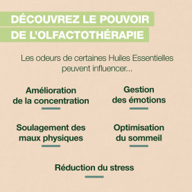 Roll-on Immunity - 5 ml roller | Inula