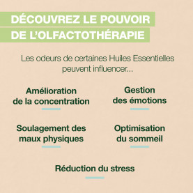 AROMABOOST ROLL-ON DIET | Inula