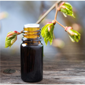 GEMMOTHERAPIE ESSENTIELLE | Inula