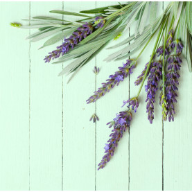 Conférence Aromathérapie : Les infections | Inula