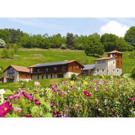 Stage gratuit Fleurs de Bach : immersion dans l’univers de Biofloral | Inula