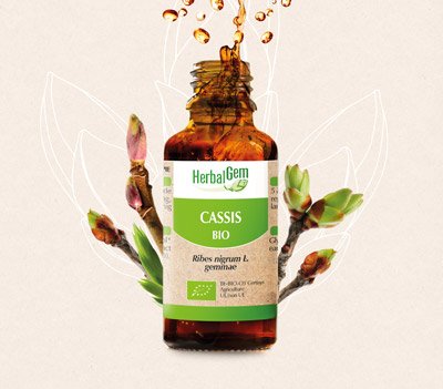 Inula Group - HerbalGem: concentrated gemmotherapy